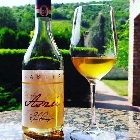 Borgaléria 3* Tokaj