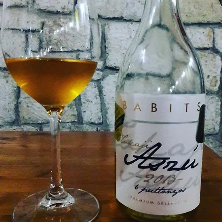 Borgaléria Vendégház