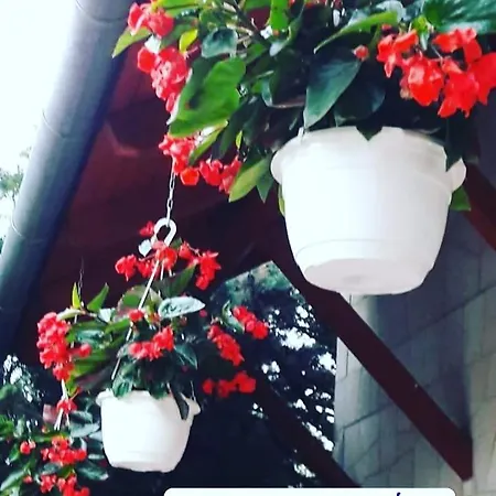 Borgaléria 3*